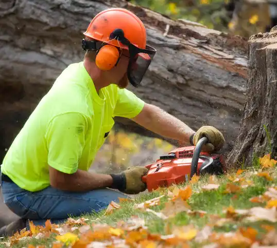 tree services Airmont